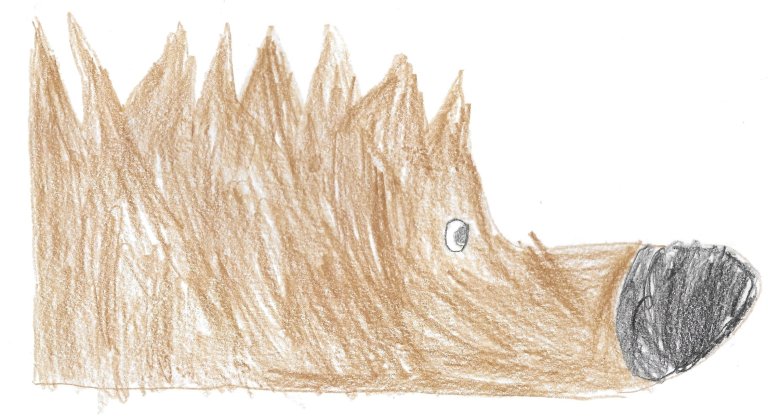 Igel 1