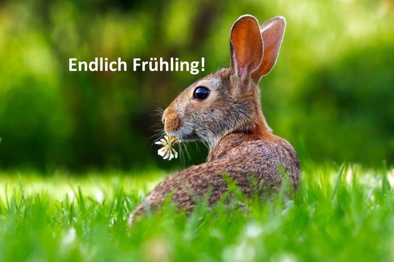 Frühling